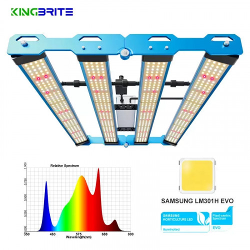 KingBrite LED 240W LM301H EVO