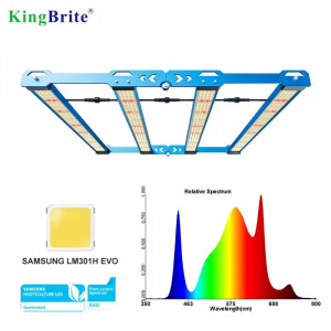 KingBrite P55 320w EVO