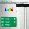 Lucius LED 120W