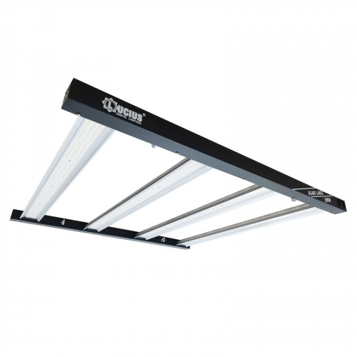 Lucius LED 240W