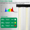 Lucius LED 240W