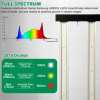  Lucius LED 720W